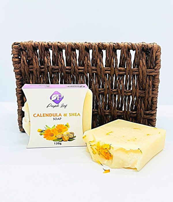 calendulasu
